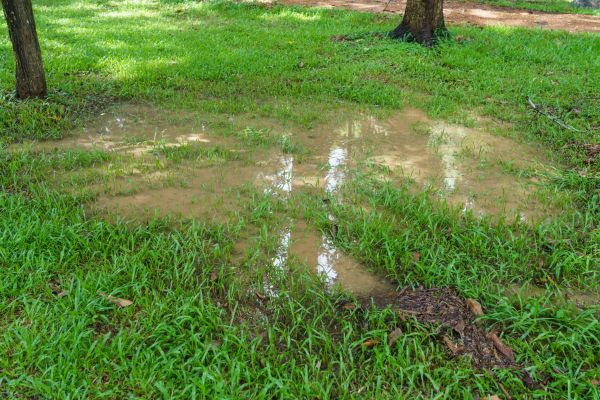 Cost of Storm Water Drainage Service in Smyrna