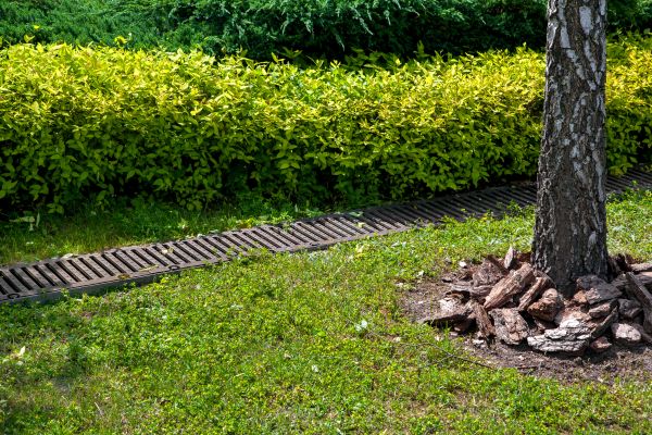 Cost of Residential Landscape Drainage in Smyrna